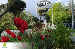 dieses Foto zeigt Blumen vor dem Aparthotel Kottenforst